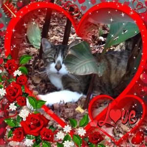 Meet your Posher, Mimi